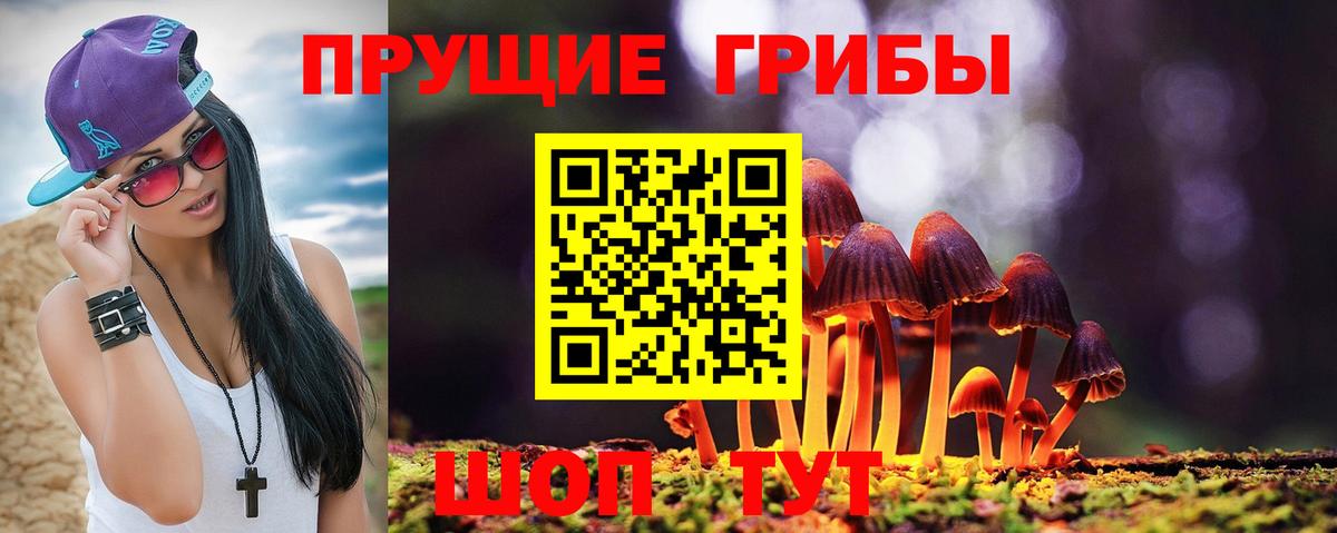 Галлюциногенные грибы мицелий  Вход с VPN  Галлюциногенные грибы Magic Shrooms  Нурлат 